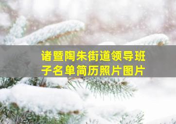 诸暨陶朱街道领导班子名单简历照片图片