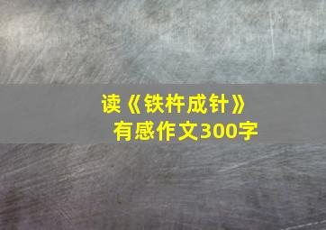 读《铁杵成针》有感作文300字