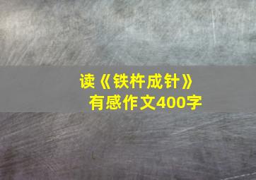 读《铁杵成针》有感作文400字