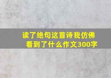 读了绝句这首诗我仿佛看到了什么作文300字