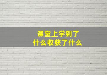 课堂上学到了什么收获了什么