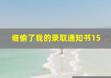 谁偷了我的录取通知书15