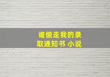 谁偷走我的录取通知书 小说