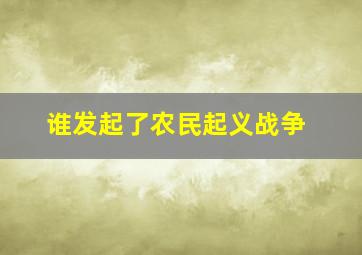 谁发起了农民起义战争