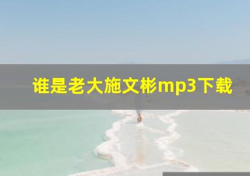 谁是老大施文彬mp3下载