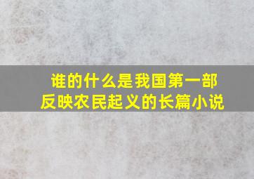 谁的什么是我国第一部反映农民起义的长篇小说