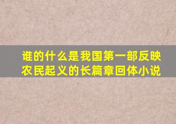 谁的什么是我国第一部反映农民起义的长篇章回体小说