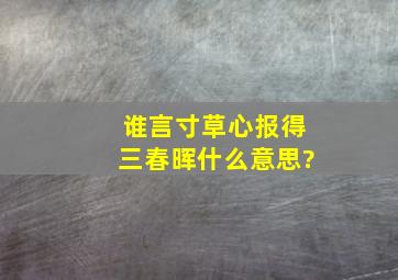 谁言寸草心报得三春晖什么意思?