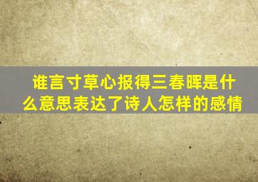 谁言寸草心报得三春晖是什么意思表达了诗人怎样的感情