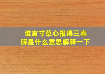 谁言寸草心报得三春晖是什么意思解释一下