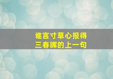 谁言寸草心报得三春晖的上一句