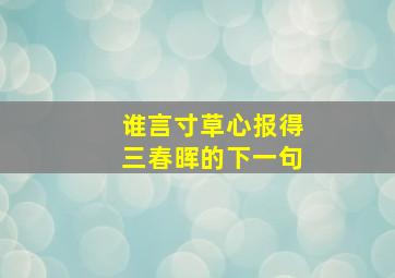 谁言寸草心报得三春晖的下一句