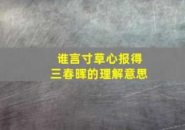 谁言寸草心报得三春晖的理解意思