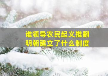 谁领导农民起义推翻明朝建立了什么制度