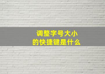 调整字号大小的快捷键是什么