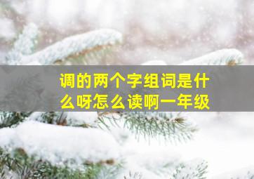 调的两个字组词是什么呀怎么读啊一年级