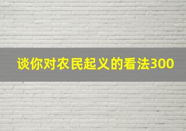 谈你对农民起义的看法300