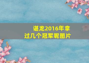 谌龙2016年拿过几个冠军呢图片