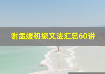 谢孟媛初级文法汇总60讲