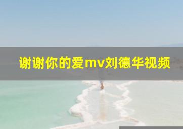 谢谢你的爱mv刘德华视频