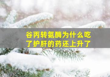 谷丙转氨酶为什么吃了护肝的药还上升了