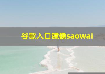 谷歌入口镜像saowai