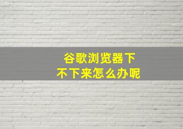 谷歌浏览器下不下来怎么办呢