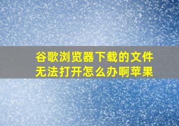 谷歌浏览器下载的文件无法打开怎么办啊苹果