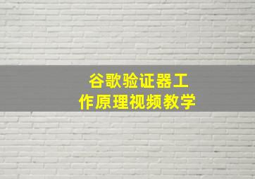 谷歌验证器工作原理视频教学