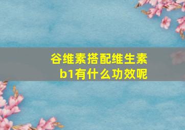 谷维素搭配维生素b1有什么功效呢