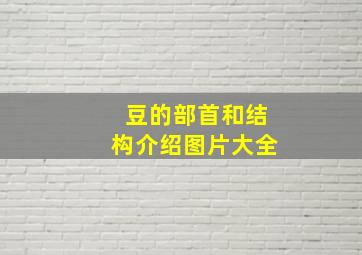 豆的部首和结构介绍图片大全