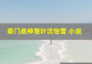 豪门战神楚叶沈怡雪 小说