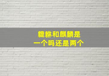 貔貅和麒麟是一个吗还是两个