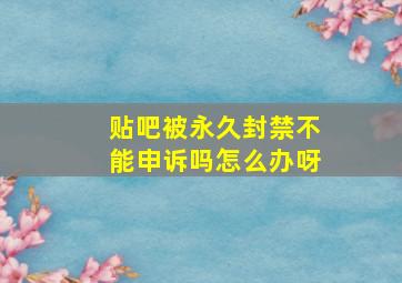 贴吧被永久封禁不能申诉吗怎么办呀