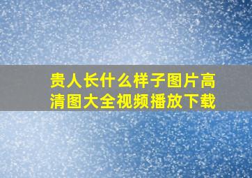 贵人长什么样子图片高清图大全视频播放下载