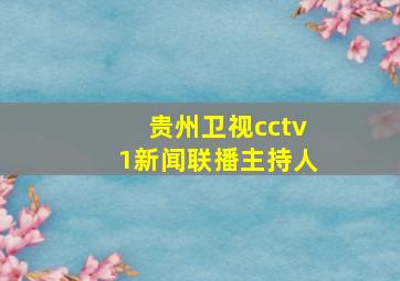 贵州卫视cctv1新闻联播主持人