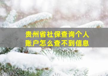 贵州省社保查询个人账户怎么查不到信息