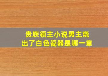 贵族领主小说男主烧出了白色瓷器是哪一章