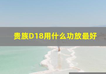 贵族D18用什么功放最好