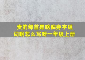 贵的部首是啥偏旁字组词啊怎么写呀一年级上册