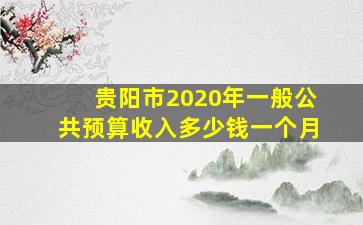 贵阳市2020年一般公共预算收入多少钱一个月