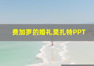 费加罗的婚礼莫扎特PPT