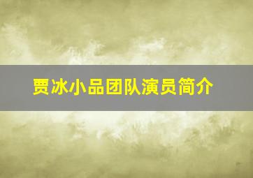 贾冰小品团队演员简介