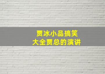 贾冰小品搞笑大全贾总的演讲