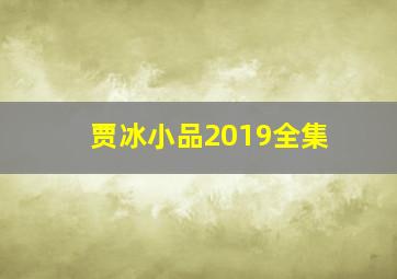 贾冰小品2019全集