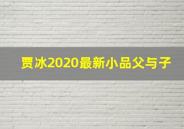 贾冰2020最新小品父与子