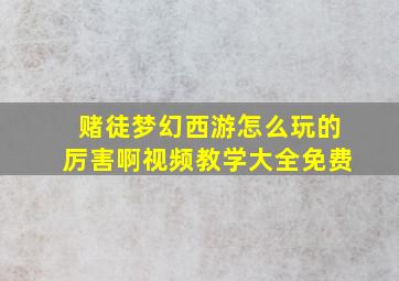 赌徒梦幻西游怎么玩的厉害啊视频教学大全免费