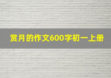 赏月的作文600字初一上册