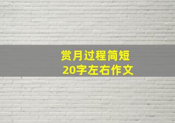 赏月过程简短20字左右作文