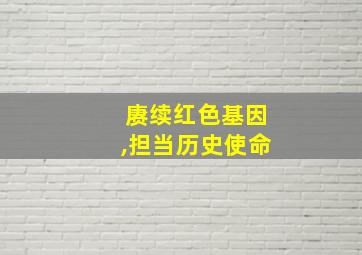 赓续红色基因,担当历史使命